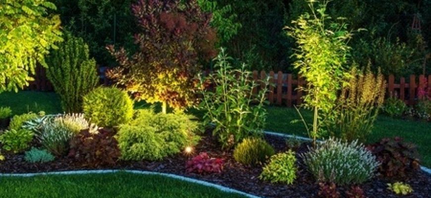 כיצד מעצבים תאורה לגינה הביתית?
